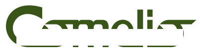 Marcus Wiederstein